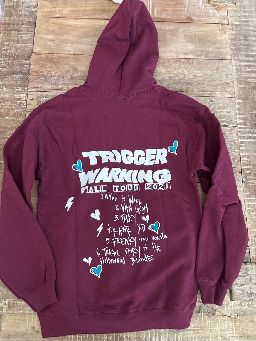 Trisha’s Sadboy 2005 “Trigger Warning” Hoodie (Merch) NWT